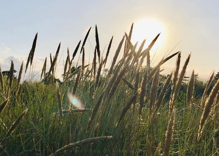 Сasa de vacaciones Luxury Retreat - By Traum *